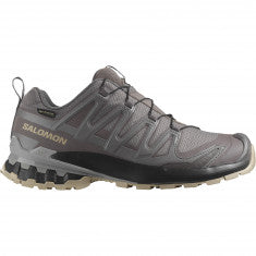 Salomon XA Pro 3D V9 GTX, Trailsko, Dam, Grå